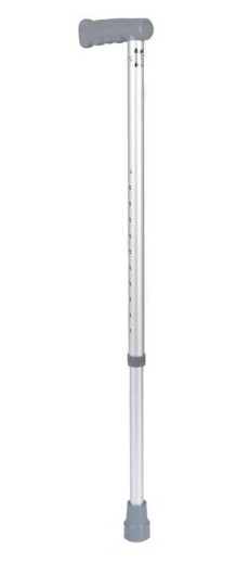 Walking Sticks Walking Sticks